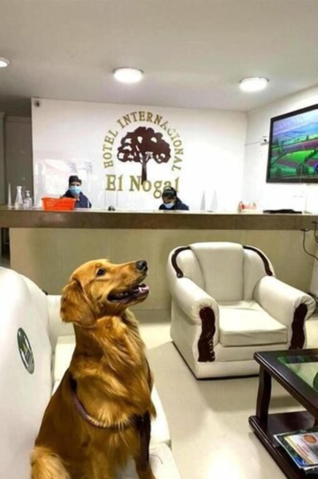 Internacional El Nogal Ipiales Hotel Ngoại thất bức ảnh